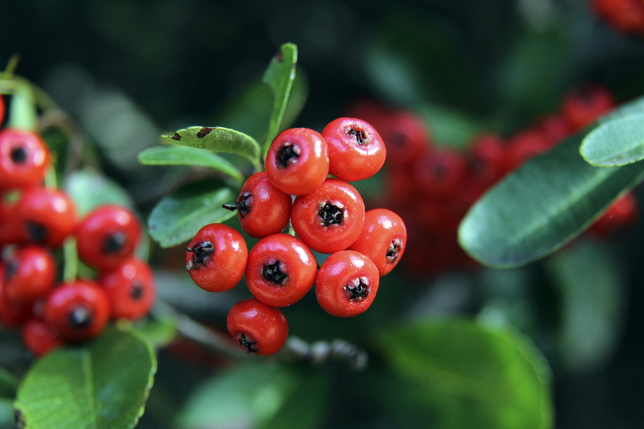 在短期损耗 在短期损耗