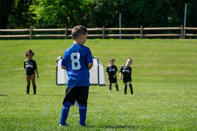 史密斯的低 史密斯的低