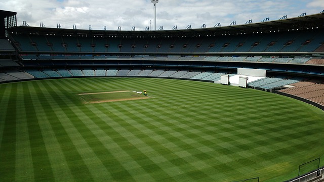 斯玛特的交 斯玛特的交