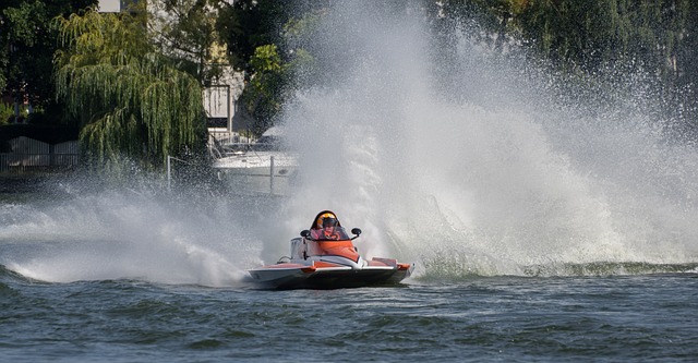 但正是因为 但正是因为