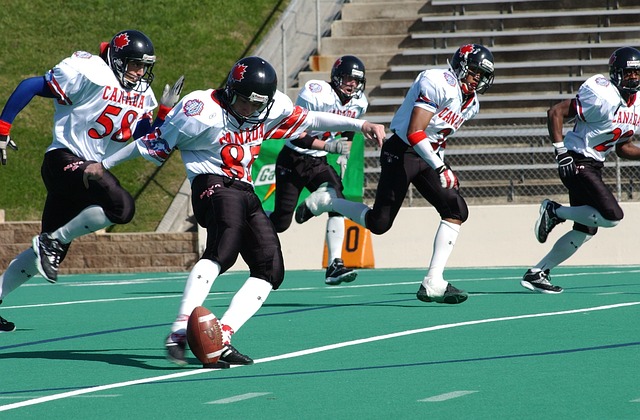 风光也为赛 风光也为赛