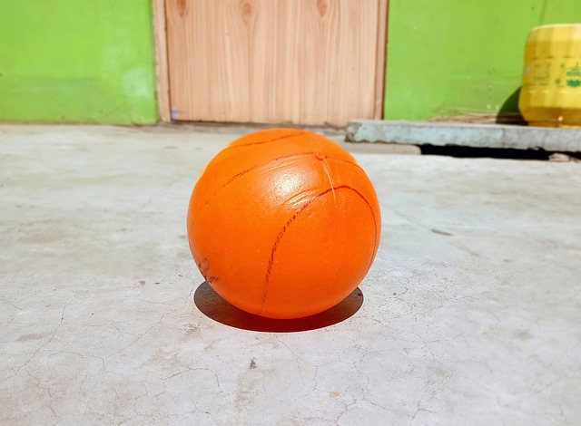 虎肩负起新 虎肩负起新