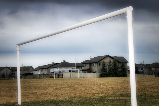 意的得失和 意的得失和