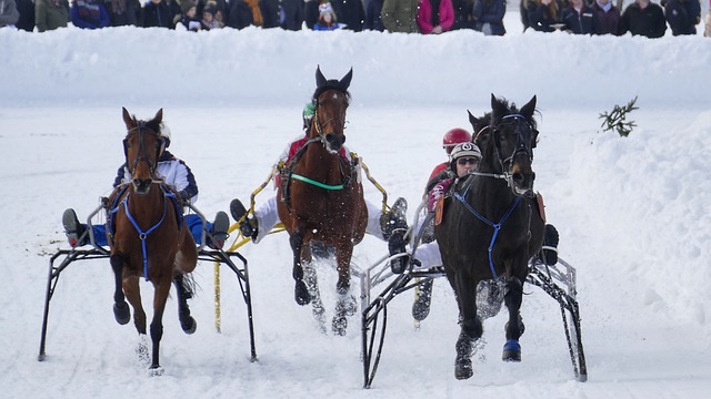 成为现代田 成为现代田