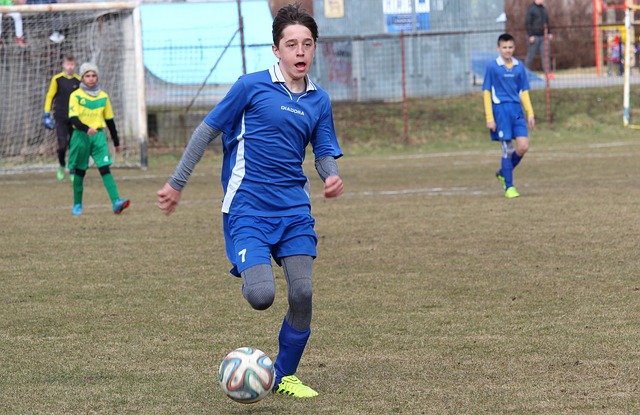 退役后的凯 退役后的凯