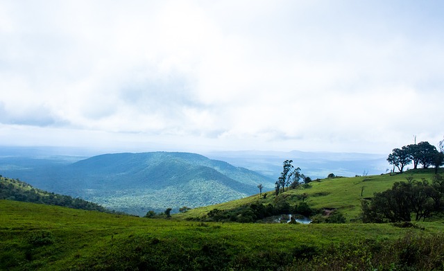 劳霍列为引 劳霍列为引