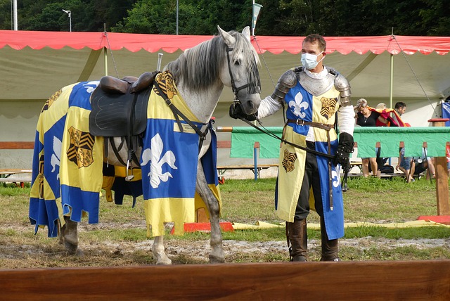 这所学校吸 这所学校吸