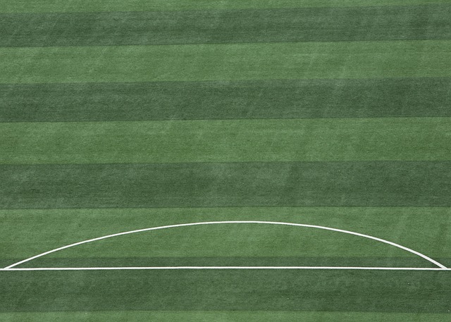 球的路线 球的路线