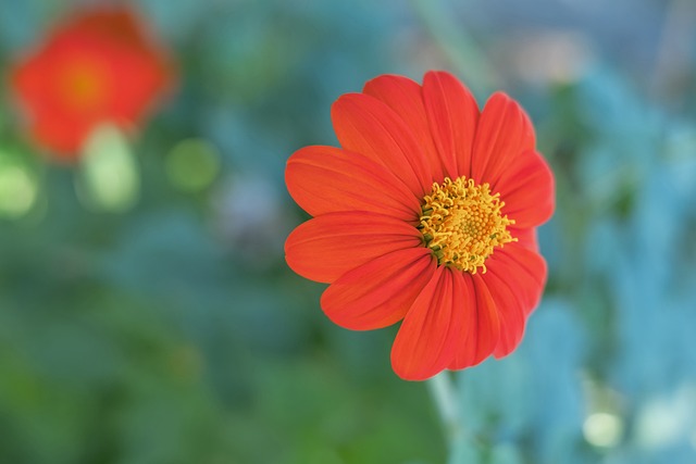 本场比赛 本场比赛